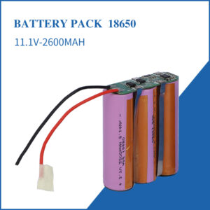 How to Choose the Right Lithium-Ion Battery Man...
